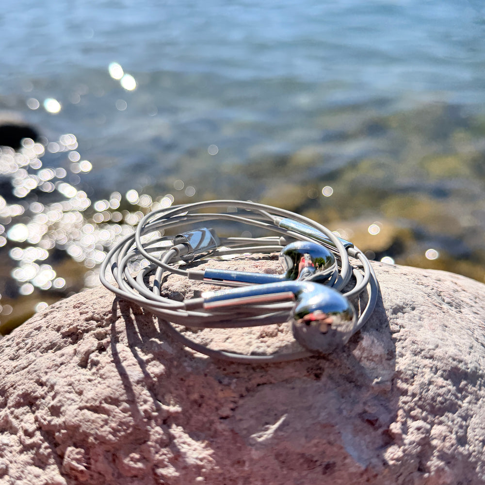 Chrome wired earbuds